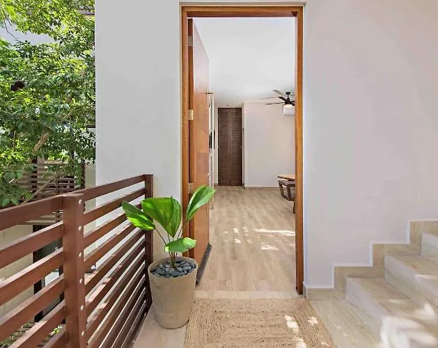 Aparthotel Treetop *