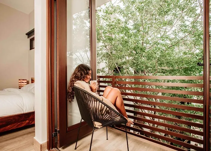 Treetop * Cozumel