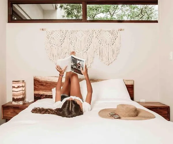 Aparthotel Treetop