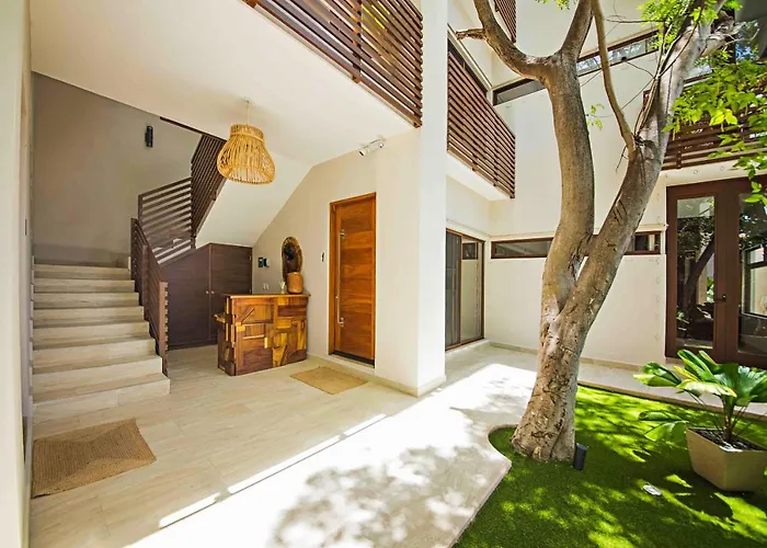 Treetop Cozumel